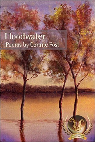floodwater-cover-medium