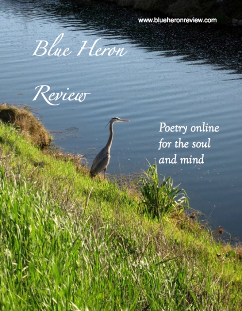 Blue Heron postcard image