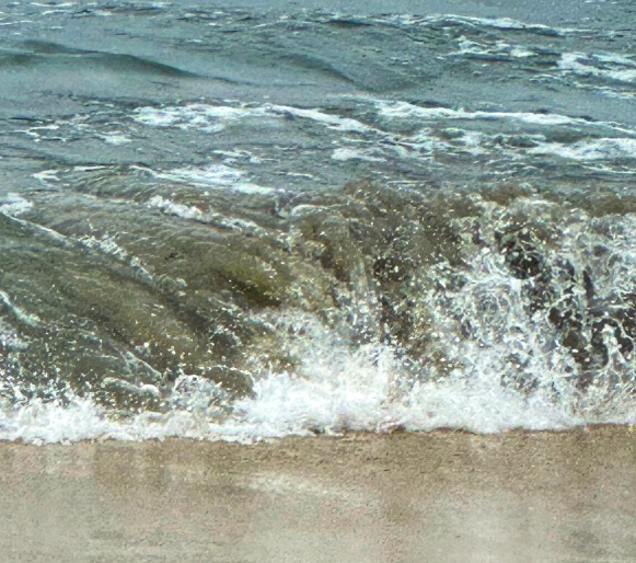 Donna H. cropped version of sea and weed